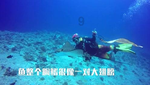 救援应届毕业生